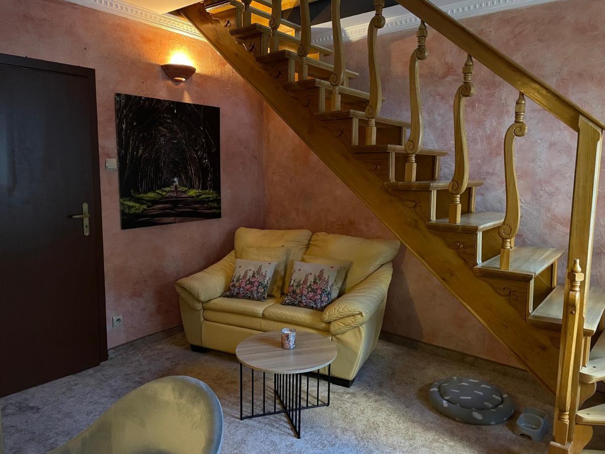 Apartament Grand Krupowki 47 زاكوباني المظهر الخارجي الصورة